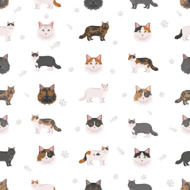 Yurtiçi uzun hava kedisi tırmanışı. Tüm ceket renkleri ayarlandı. Vektör illüstrasyonu