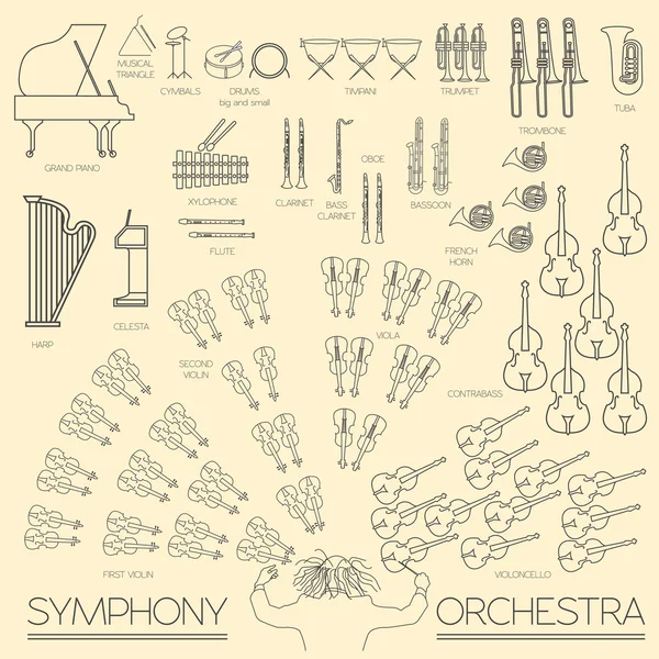 Grafische Vorlage für Musikinstrumente. alle Arten von Musikinstrumenten — Stockvektor