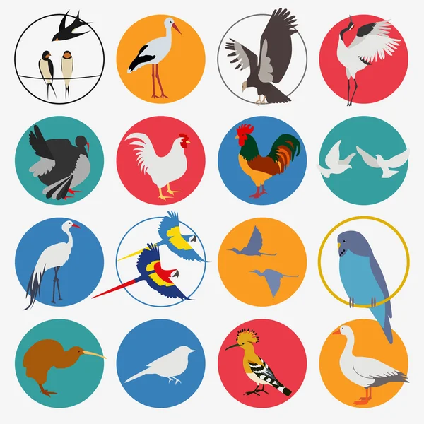 Ensemble d'icônes oiseaux. Style plat vectoriel — Image vectorielle