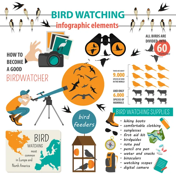 Pozorování ptáků infographic šablona — Stockový vektor