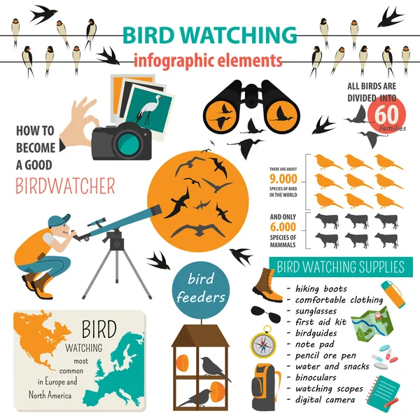 Plantilla infográfica de observación de aves — Archivo Imágenes Vectoriales