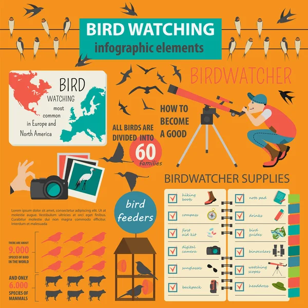 Modelo de infográfico de observação de pássaros — Vetor de Stock