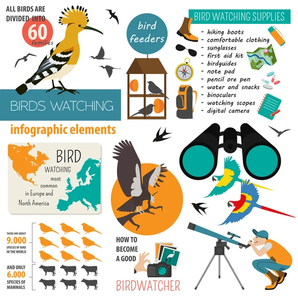 Kuş gözlemciliği Infographic şablonu — Stok Vektör