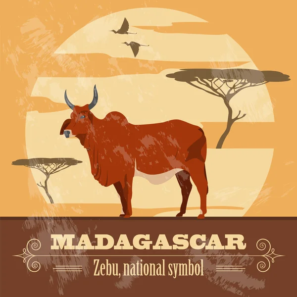 Madagascar. Símbolo nacional zebú. Imagen de estilo retro . — Vector de stock