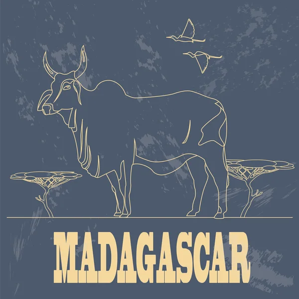 Madagascar. National symbol zebu. Retro styled image. — Stok Vektör