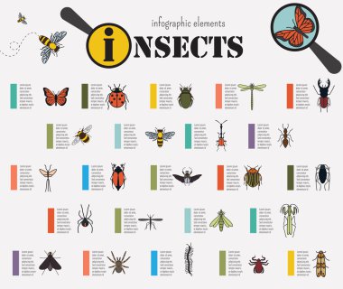Böcekler Infographic şablonu