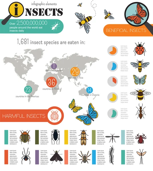 Insekter infographic mall — Stock vektor
