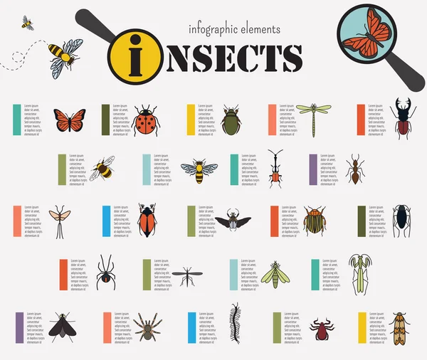 Insekter infographic mall — Stock vektor