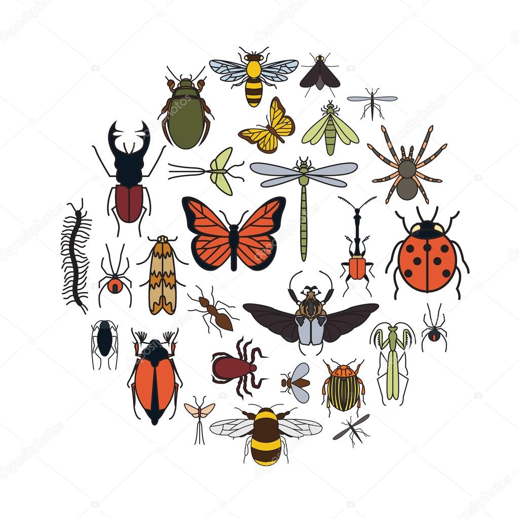 Insects icon flat style. 24 pieces in set. Colour version