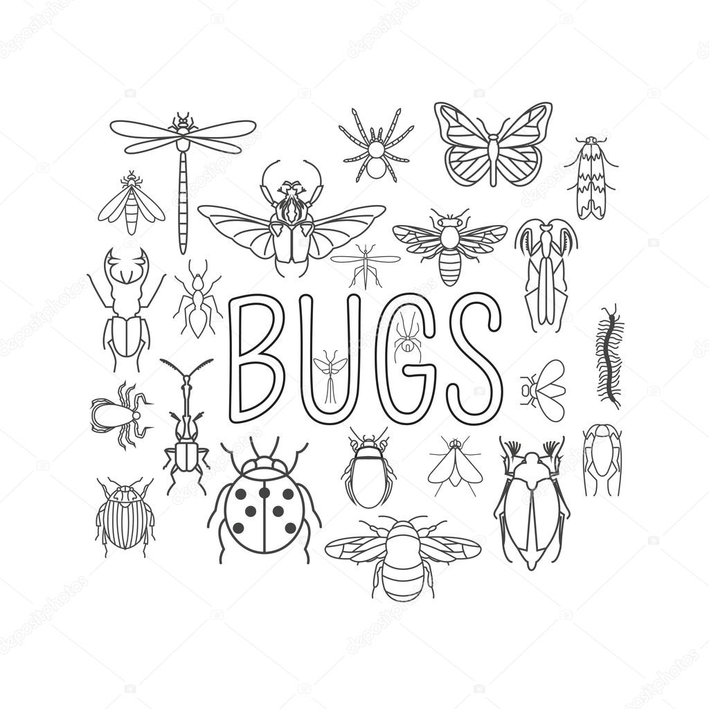 Insects icon flat style. 24 pieces in set. Outline version