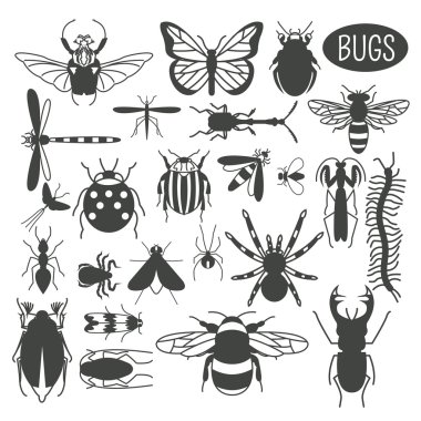 Insects icon flat style. 24 pieces in set. Colour version clipart