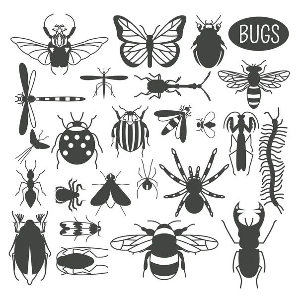 Insects icon flat style. 24 pieces in set. Colour version — Stock Vector