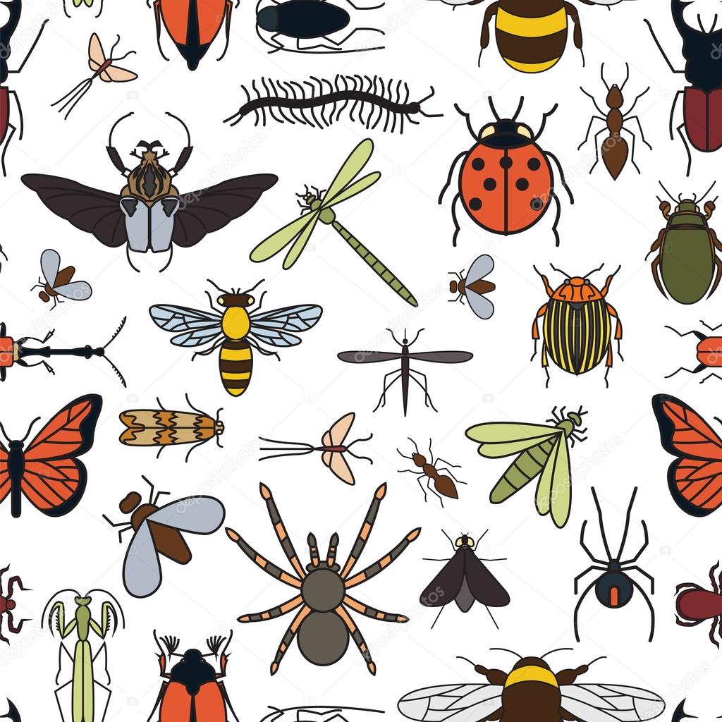 Insects seamless pattern. 24 pieces in set.