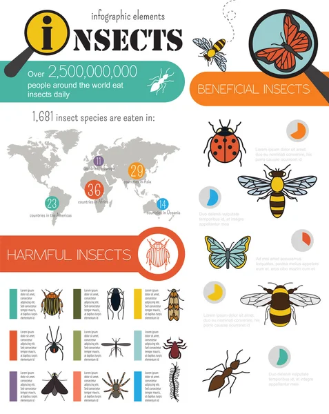 Modello infografico per insetti — Vettoriale Stock