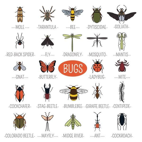 Icono de insectos de estilo plano. 24 piezas en set. Versión en color — Vector de stock
