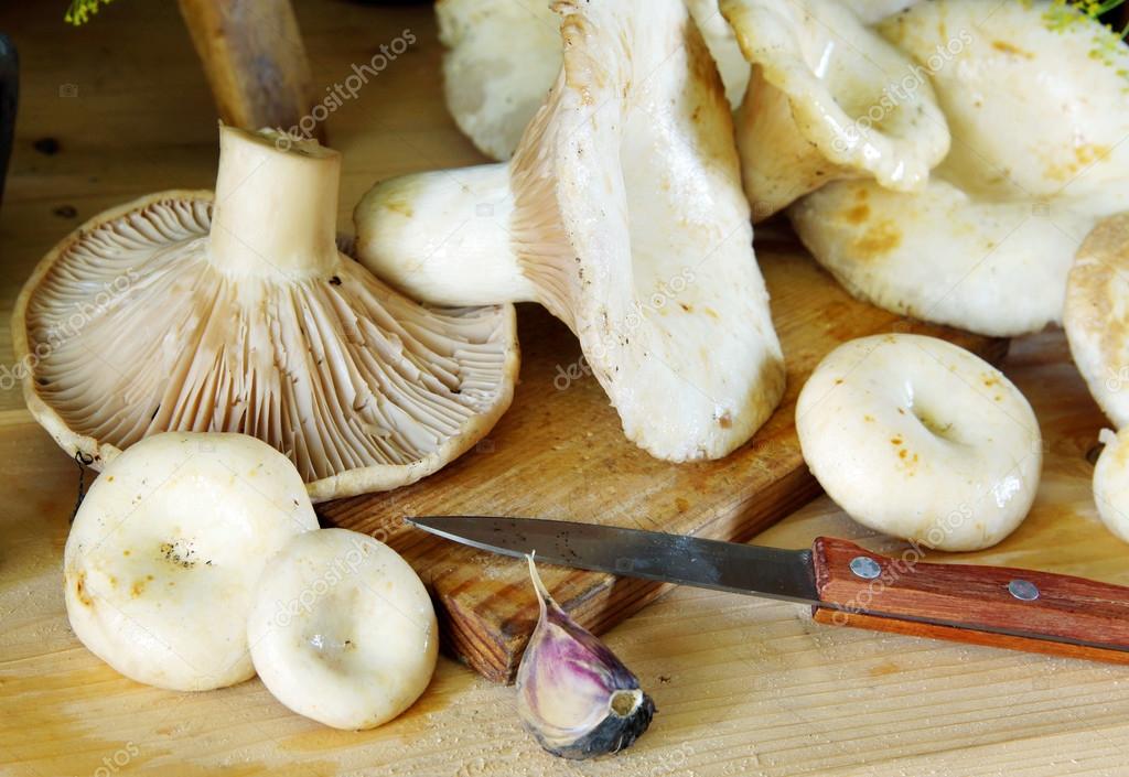 Сыросоленые грузди. Грибы грузди соленые. Волнушки грузди соленые. Грибы грузди белянки. Грузди.