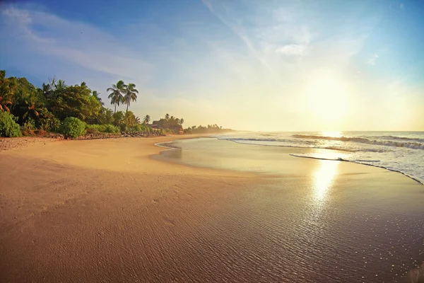 Deserted tropical beach — Stock Photo, Image