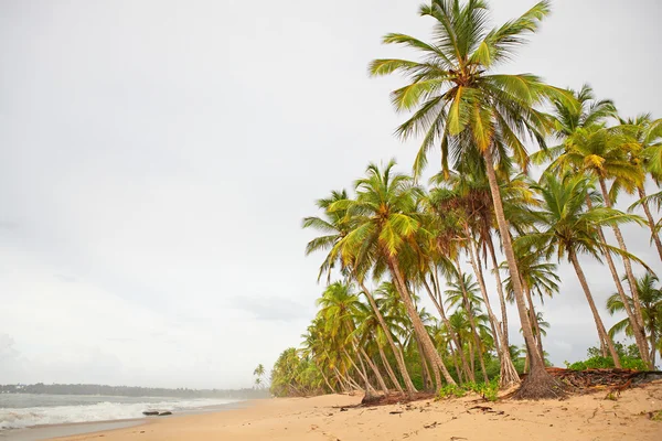 Dia chuvoso em uma ilha tropical — Fotografia de Stock