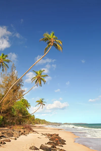 Paraíso insular — Fotografia de Stock