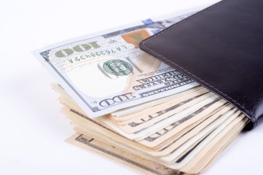bir cüzdan dolar tam