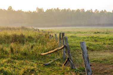 çayır güzel sabah