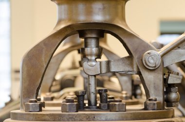 makro fotoğrafçılık tarihi makineleri