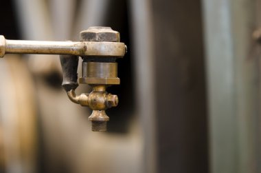 makro fotoğrafçılık tarihi makineleri