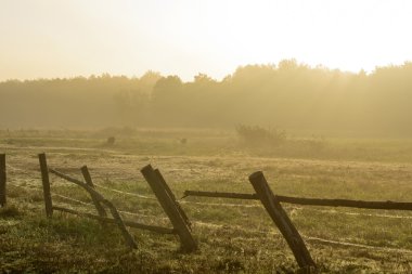 çayır güzel sabah