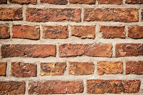 Brick wall in HDR — Stock Photo, Image