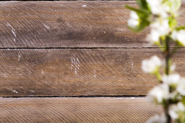 Holz Hintergrund mit weißen Blumen — Stockfoto