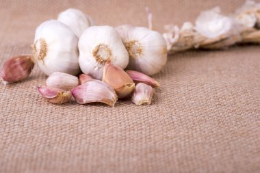 Jüt çuval üstünde taze sarımsak