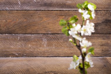 ahşap arka plan beyaz çiçekli