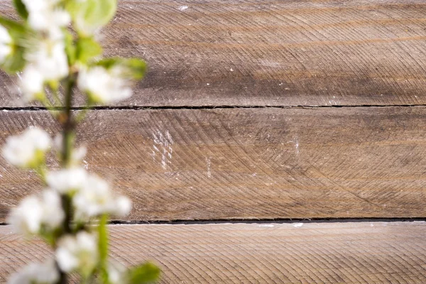 Holz Hintergrund mit weißen Blumen — Stockfoto