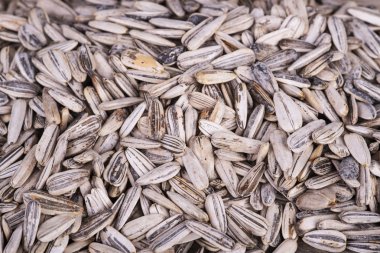 kurutulmuş ayçiçeği yığını