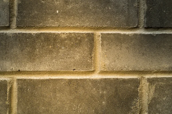 Texture brick wall in color. — Stock Photo, Image