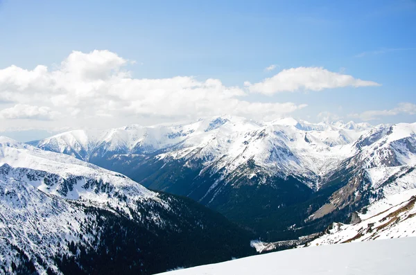 Panorama invernale delle montagne — Foto Stock