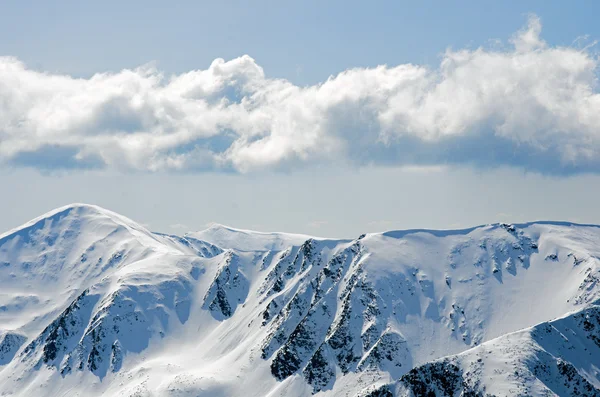 Panorama hivernal des montagnes — Photo