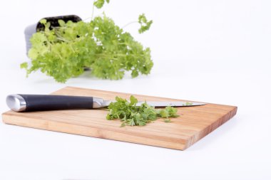 doğrama kurulu aşçılık üzerine maydanoz