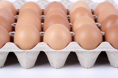 bir kap içinde tavuk yumurtası