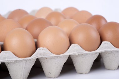 bir kap içinde tavuk yumurtası