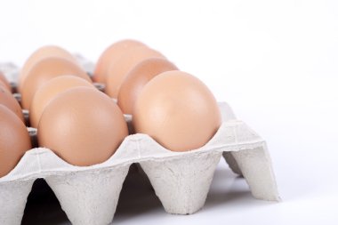 bir kap içinde tavuk yumurtası