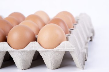 bir kap içinde tavuk yumurtası