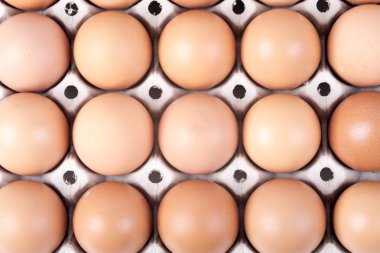 bir kap içinde tavuk yumurtası