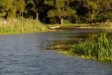 Podlasie nehirde eğimli