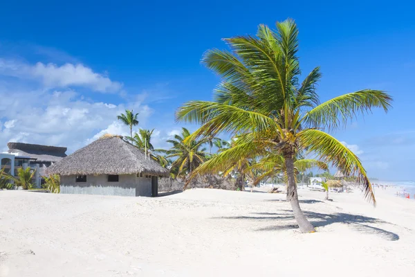 Palm leaf tak bungalow på den tropiska stranden Stockfoto