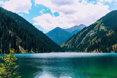 Güzel yeşil göl Kolsay, yazın
