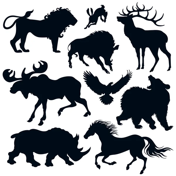 9 vilda djur — Stockfoto