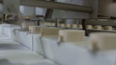Dondurma fabrikası. Dondurma üretimi için taşıyıcı otomatik hatlar.