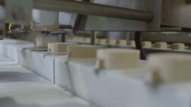 Gelateria. Linee automatiche per la produzione di gelati. — Video Stock