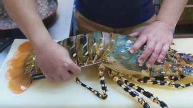 Deniz mahsulleri pişiriyorum. Taze dikenli ıstakozlar. Şef ıstakoz hazırlıyor. Sokak yemeği..